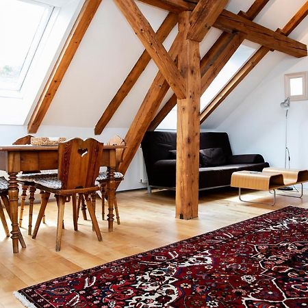 Erzherzog Johann Relax Appartements 埃伦豪森 外观 照片